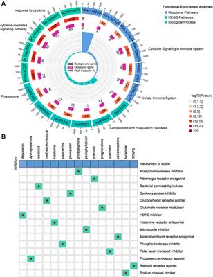 A Ferroptosis-Related Gene Prognostic Index to Predict Temozolomide Sensitivity and Immune Checkpoint Inhibitor Response for Glioma